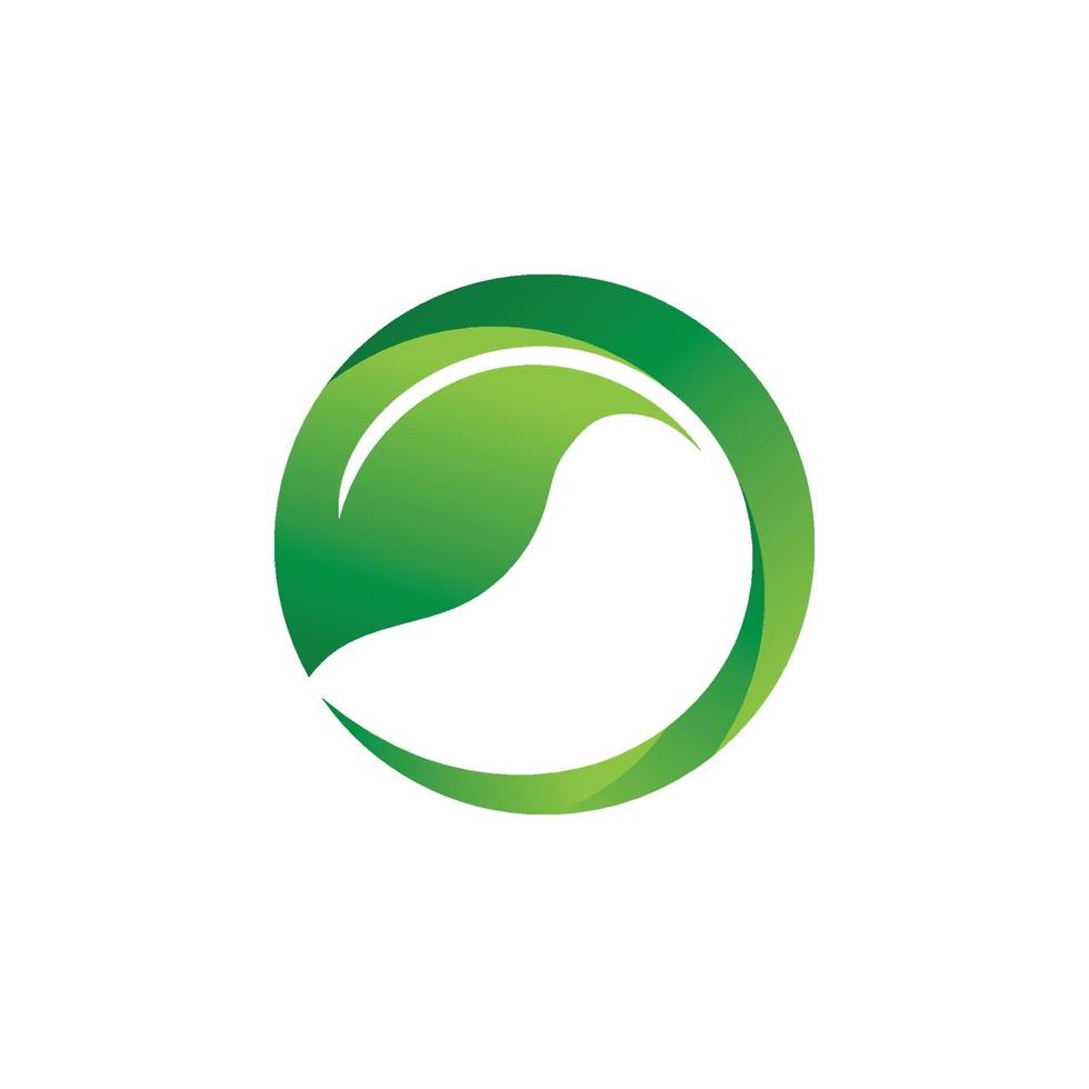 logotipos da ecologia de folhas verdes vetor