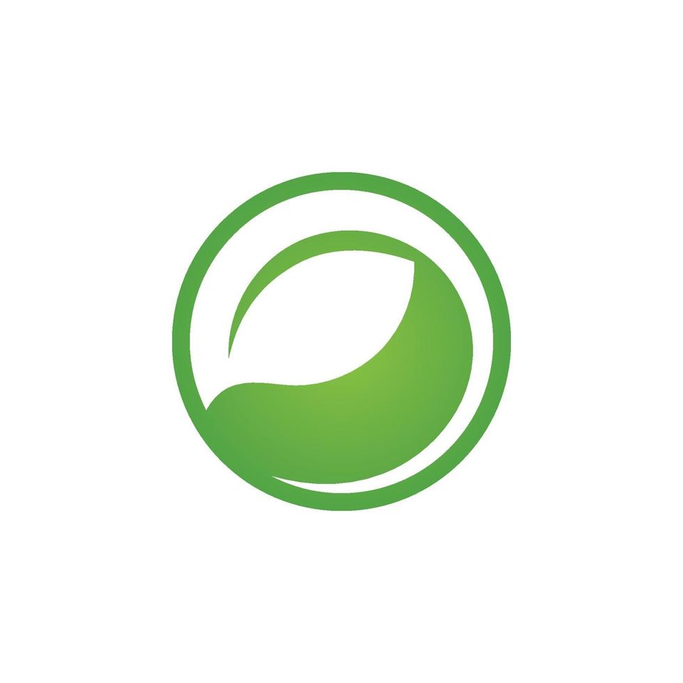 logotipos da ecologia de folhas verdes vetor