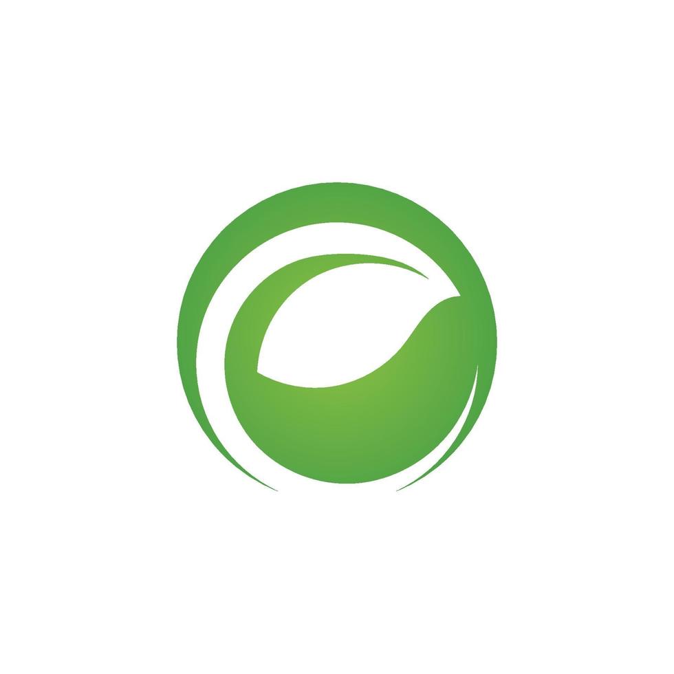 logotipos da ecologia de folhas verdes vetor