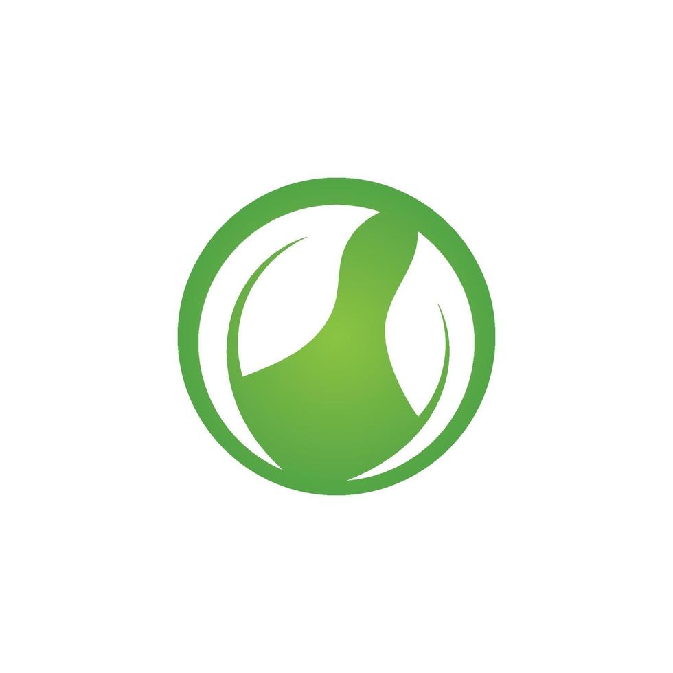 logotipos da ecologia de folhas verdes vetor