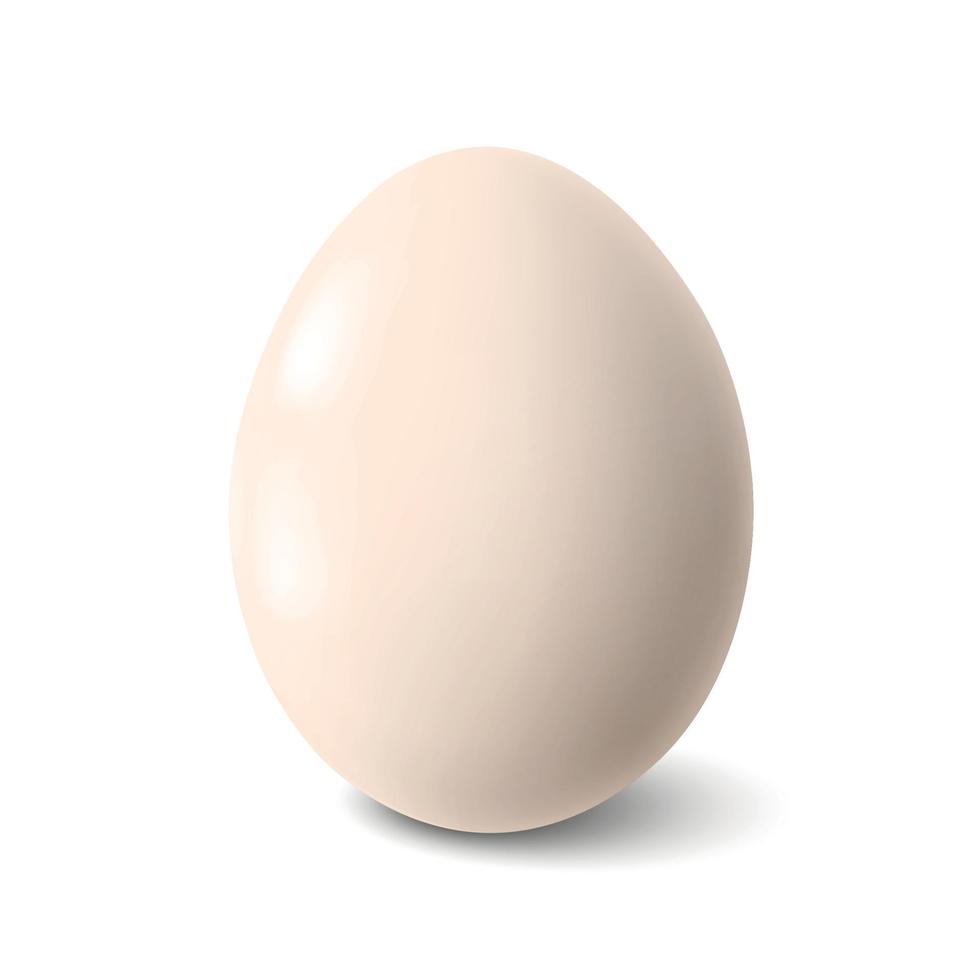 ovo de galinha branca grande e realista com sombra no fundo branco - ilustração vetorial vetor