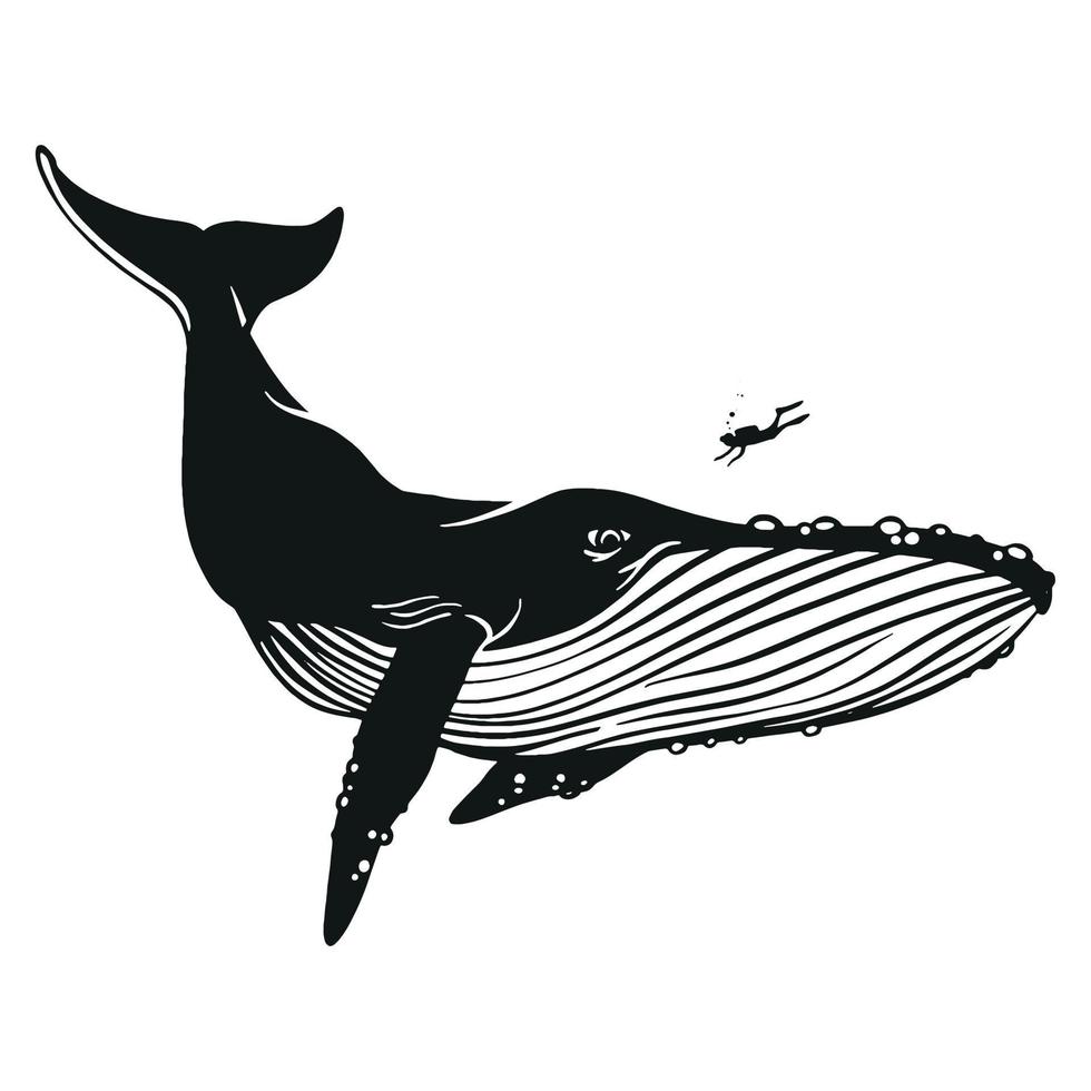 baleia vetor mão desenhado ilustração.