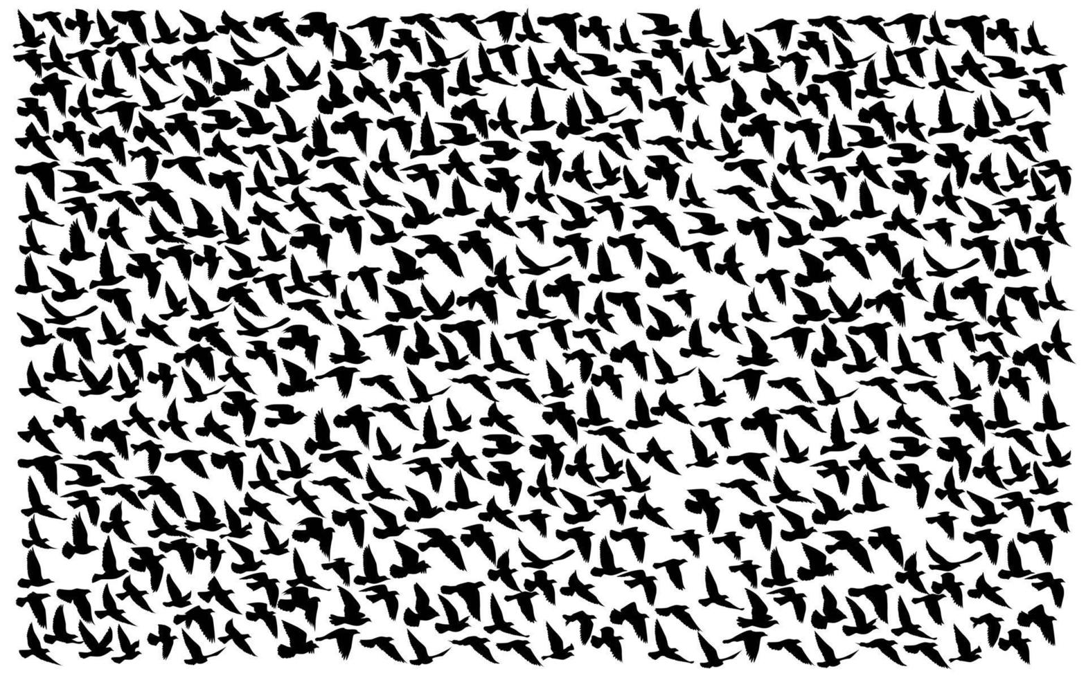 silhuetas de pássaros voando em fundo branco. ilustração vetorial. pássaro isolado voando. desenho de tatuagem. vetor