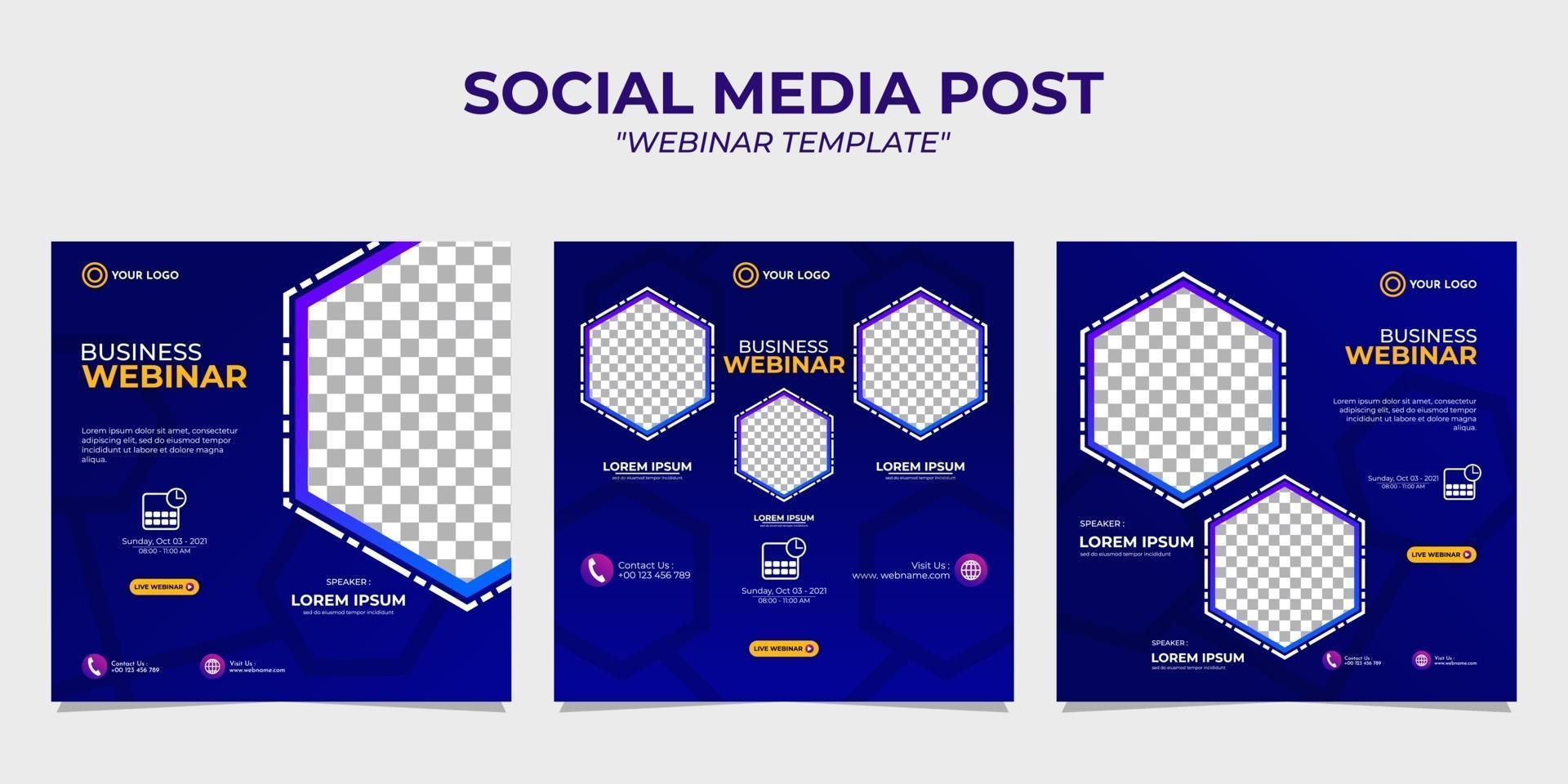 webinar sobre modelos de postagem de história em mídia social vetor