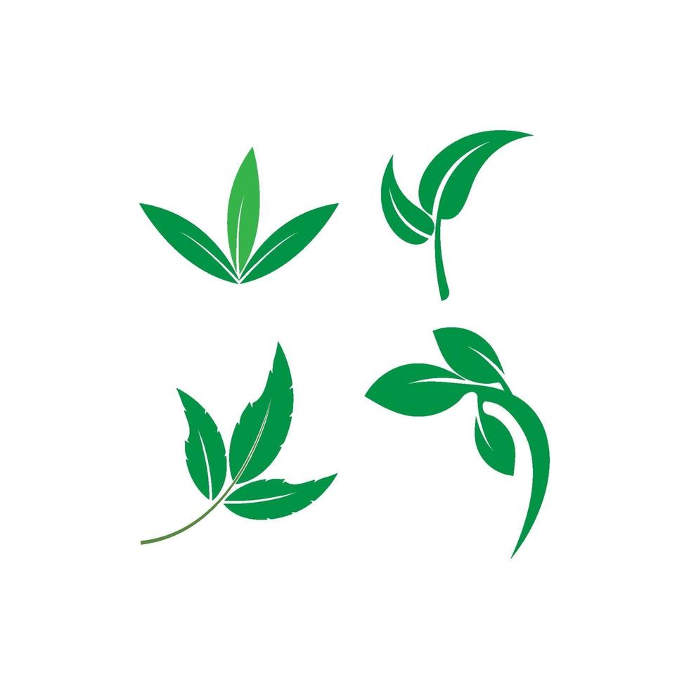 conjunto de logotipo de folha verde vetor