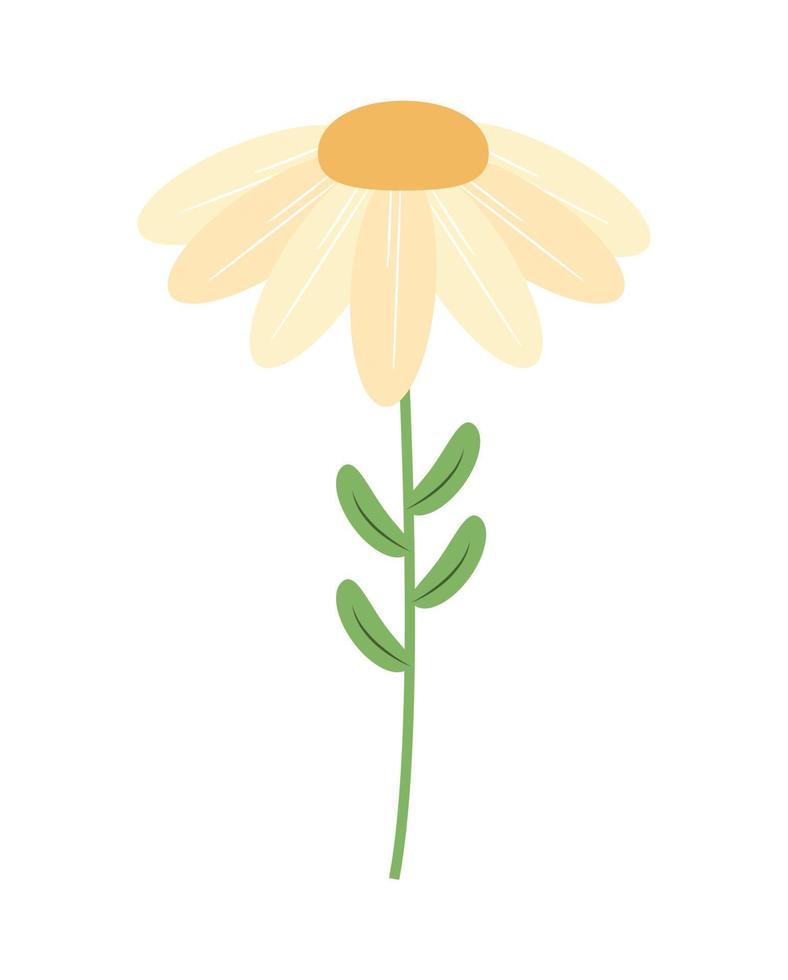 desenho de flor branca vetor