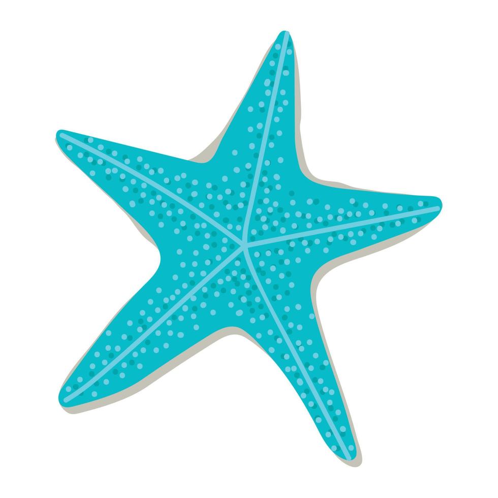 azul estrelas do mar ilustração vetor