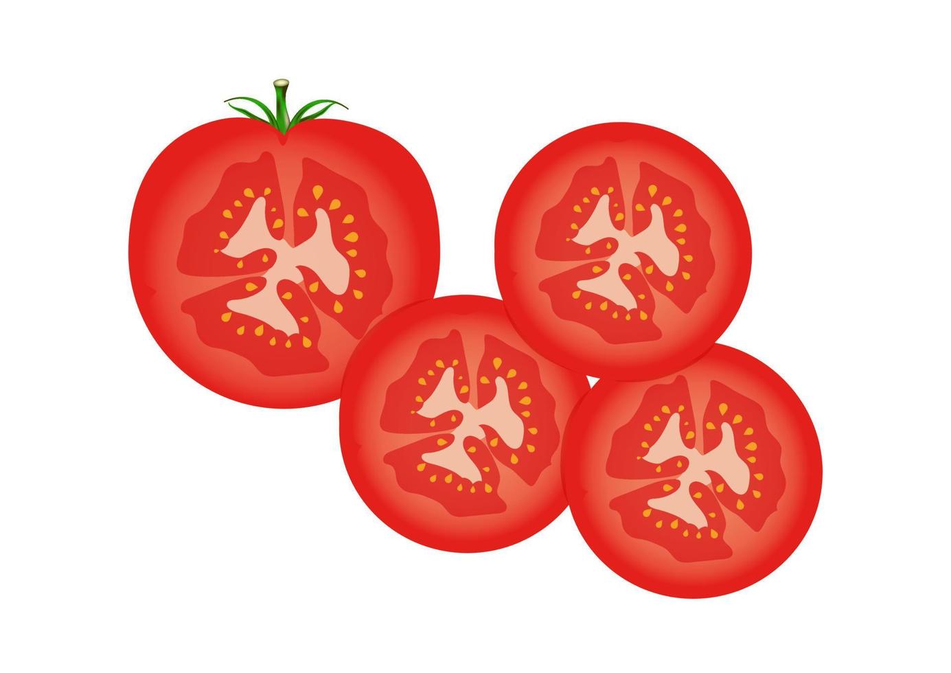 metade do tomate e fatias do tomate clipart vetor