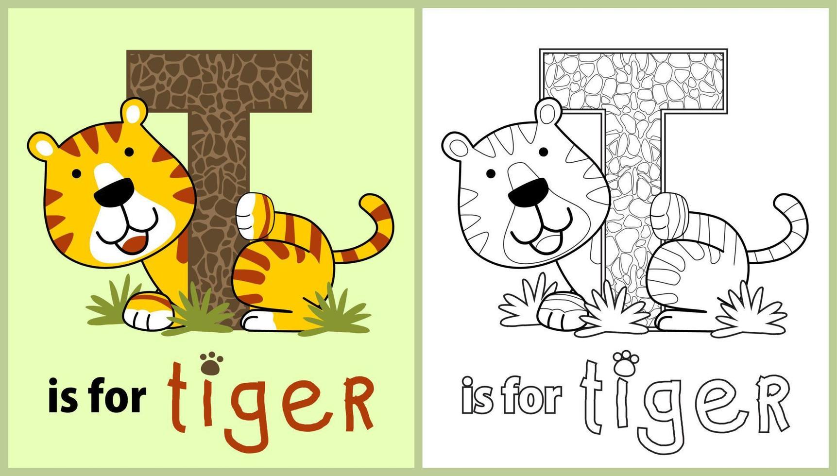 aprender para soletrar de tigre nome, vetor desenho animado ilustração, coloração página ou livro