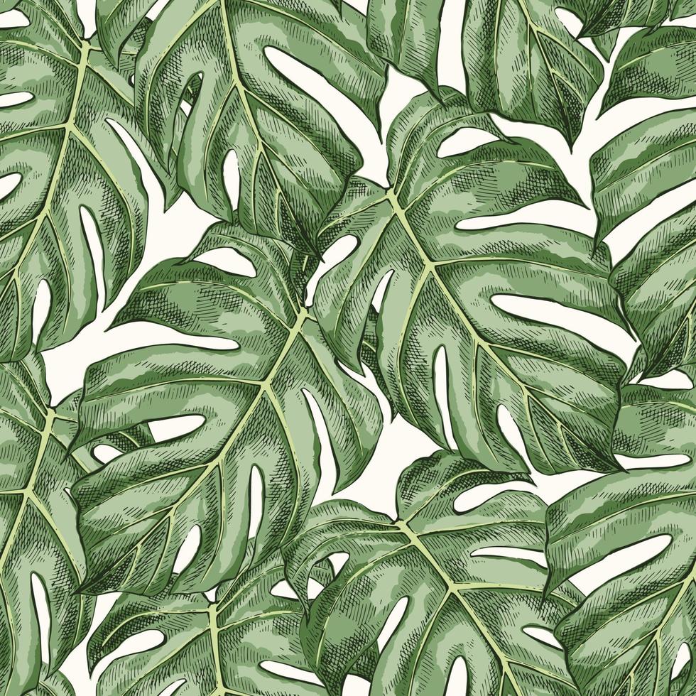 sketch monstera seamless pattern vetor