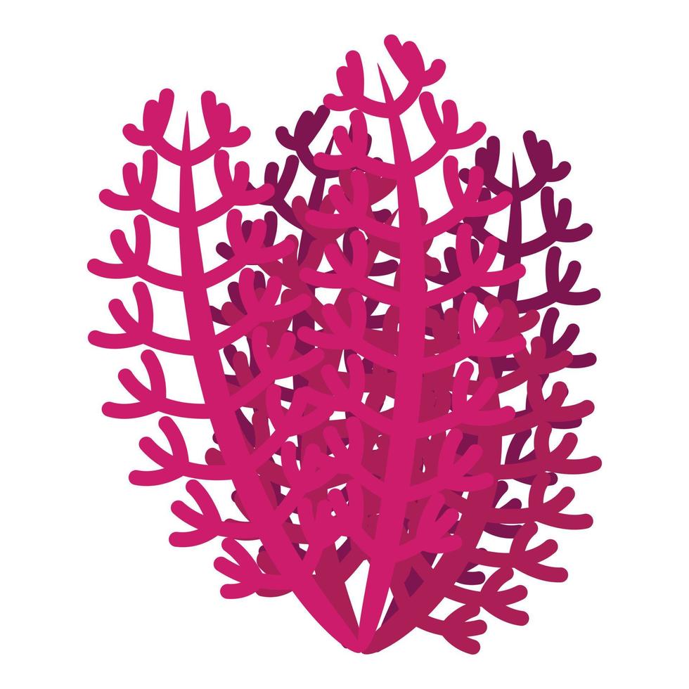 Rosa algas marinhas ícone isométrico vetor. marinho alga vetor