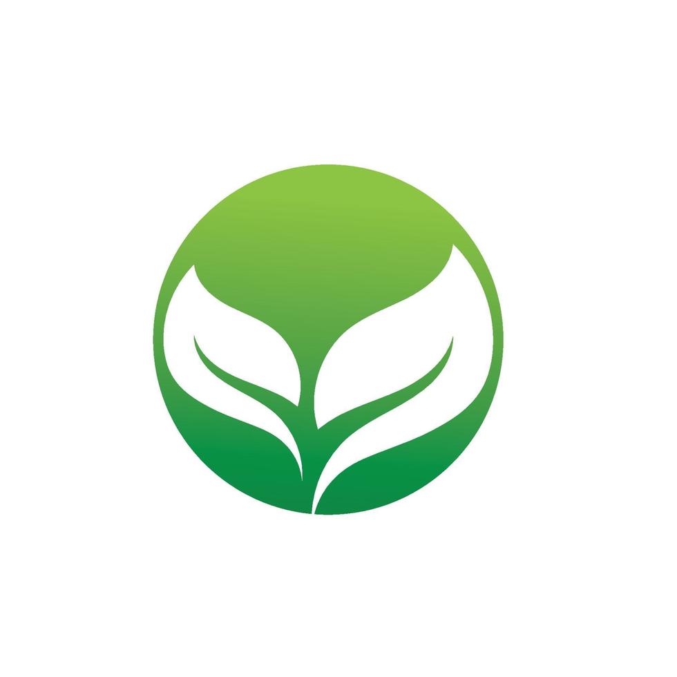 logotipos da ecologia de folhas verdes vetor