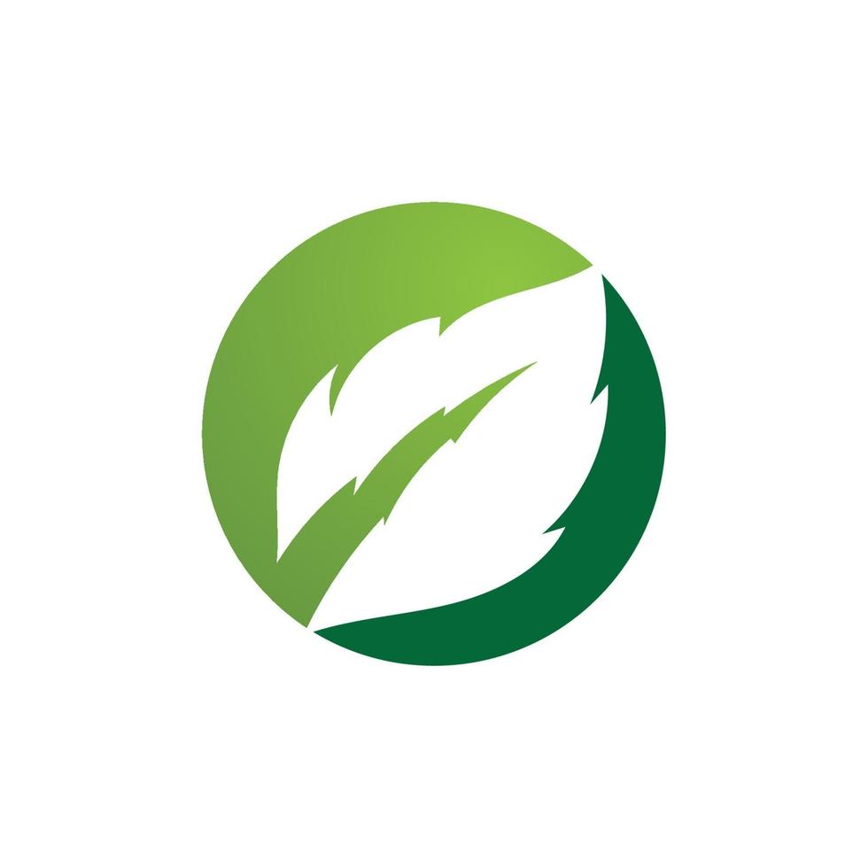 logotipos da ecologia de folhas verdes vetor