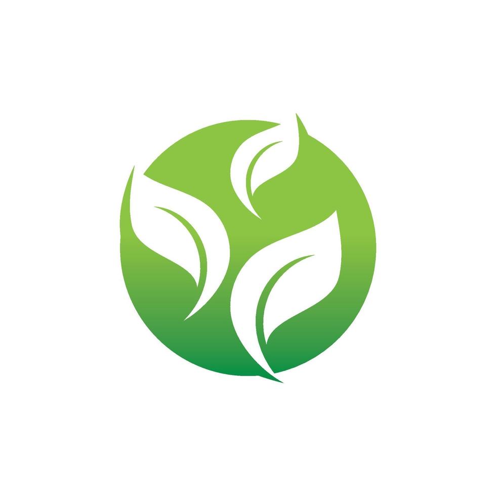 logotipos da ecologia de folhas verdes vetor