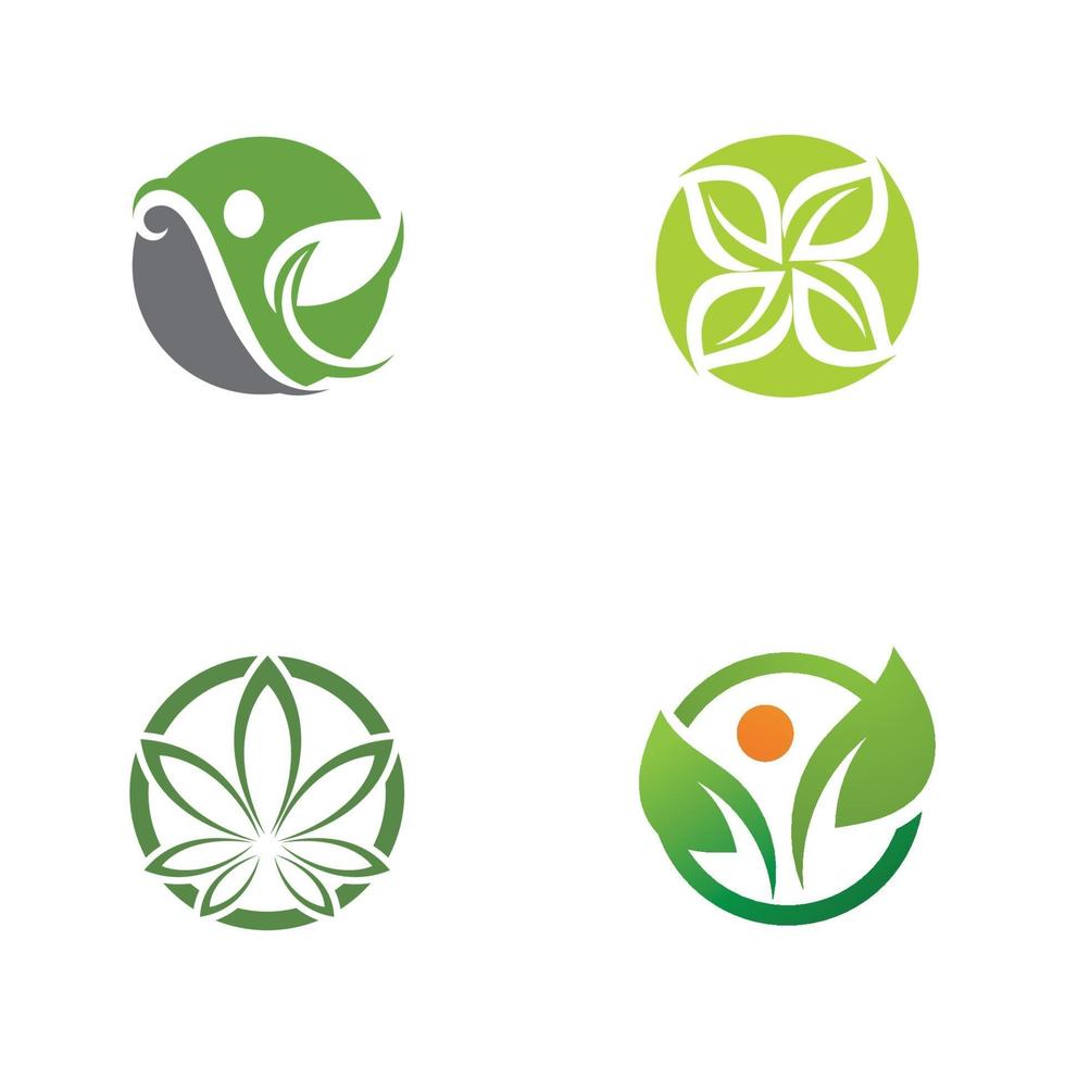 logotipos da ecologia de folhas verdes vetor