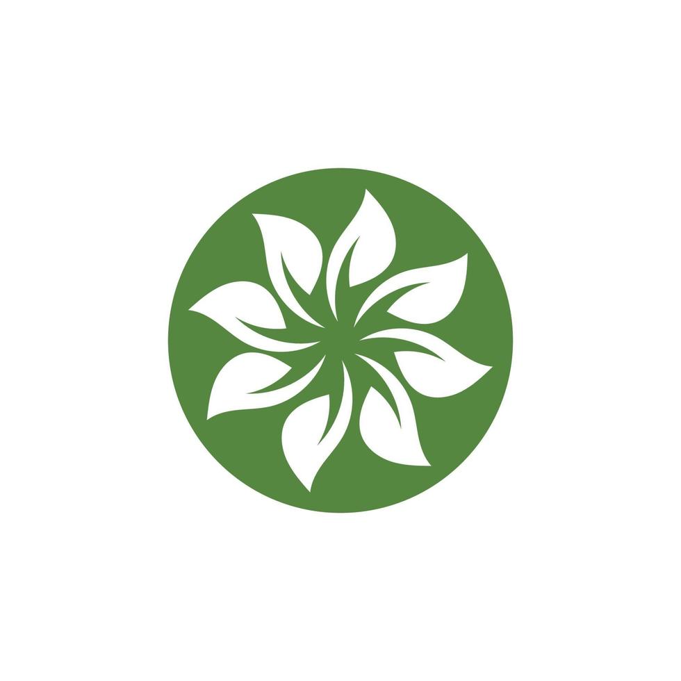 logotipos da ecologia de folhas verdes vetor