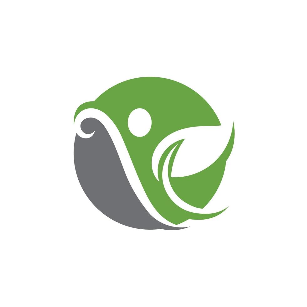 logotipos da ecologia de folhas verdes vetor