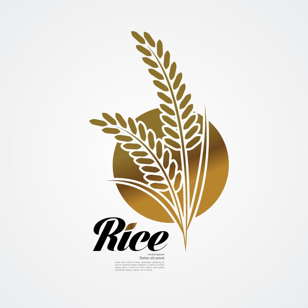 Prêmio arroz ótimo qualidade Projeto conceito vetor. vetor
