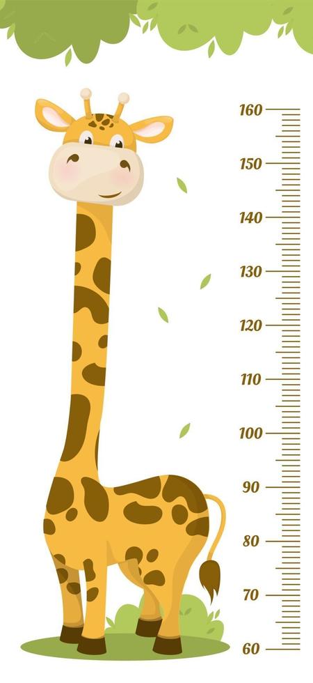 gráfico de altura de crianças. medidor de altura da criança para o jardim de infância. vetor