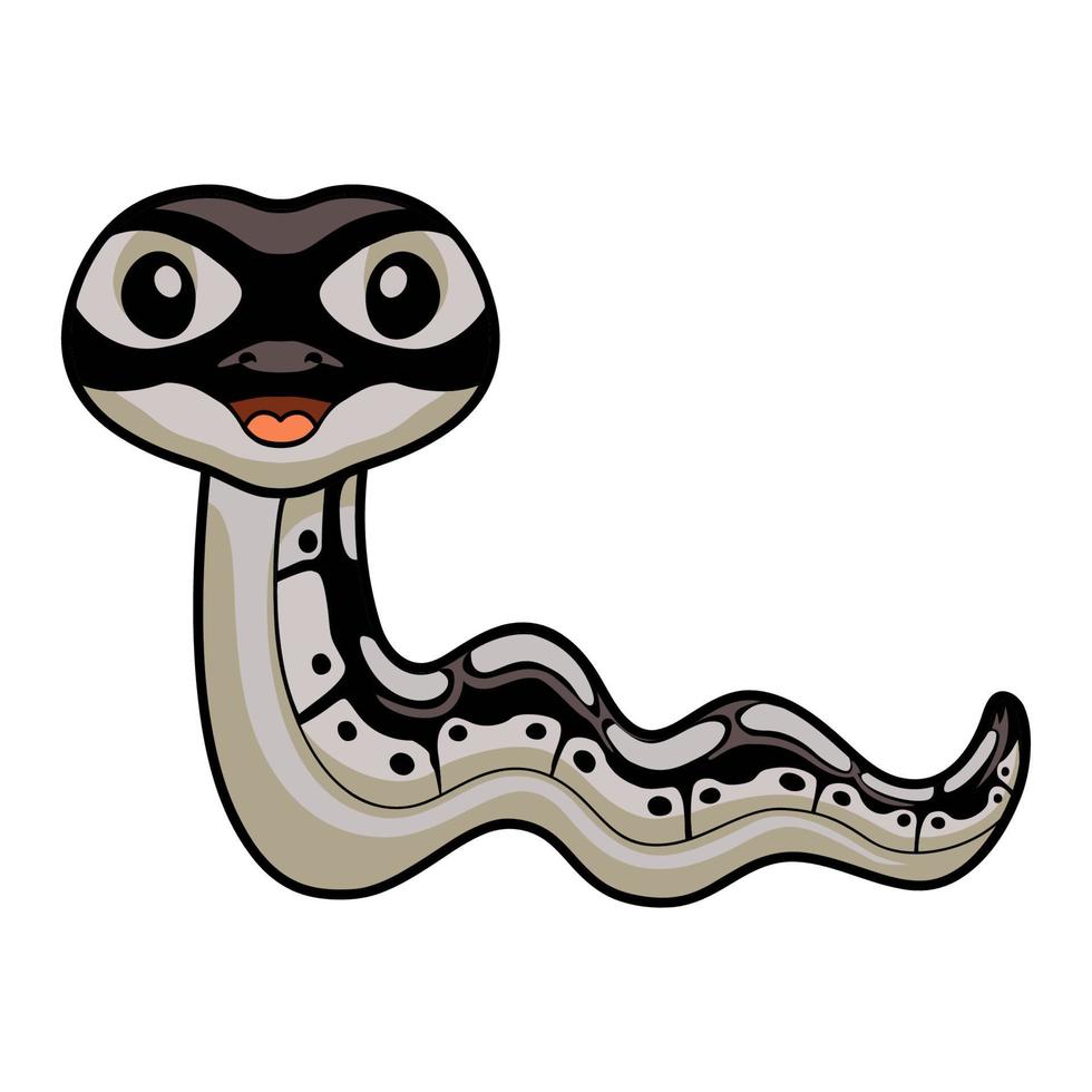 fofa feliz Pitão serpente desenho animado vetor