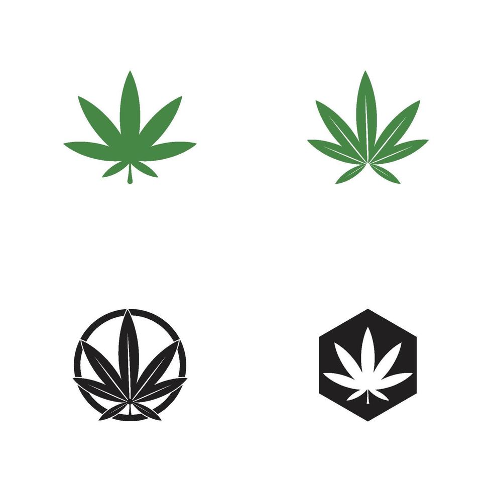 logotipo da cannabis e vetor do símbolo