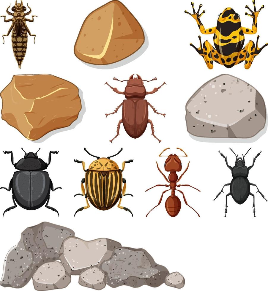 diferentes tipos de inseto com elementos da natureza vetor