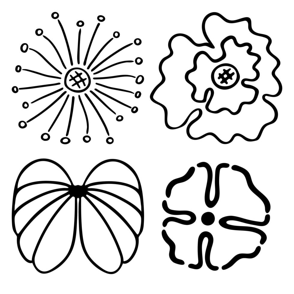 esboço doodle flores de contorno. desenho desenhado à mão de botões de plantas durante a floração. silhuetas de pétalas. vetor isolado.