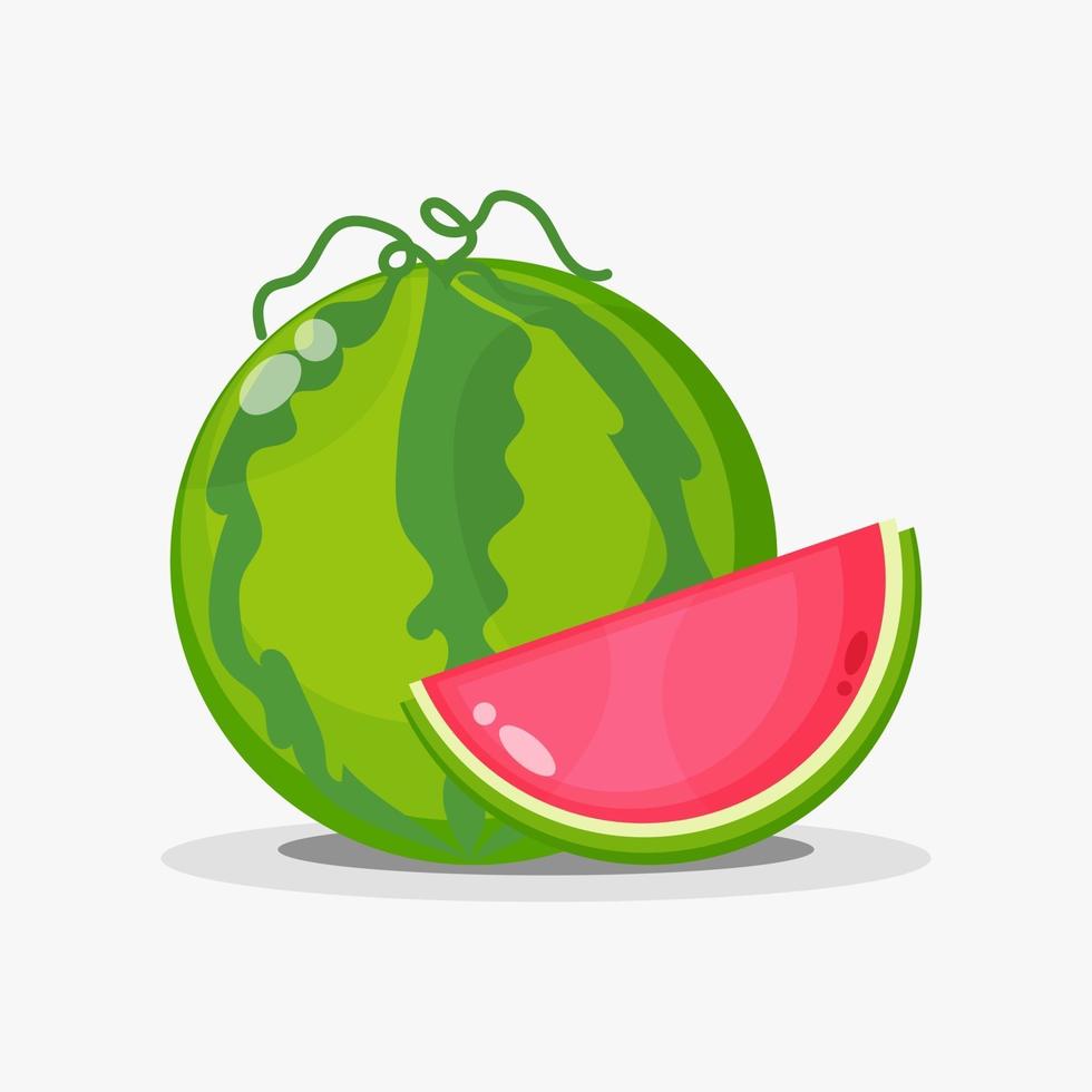 melancia e fatias de melancia vetor