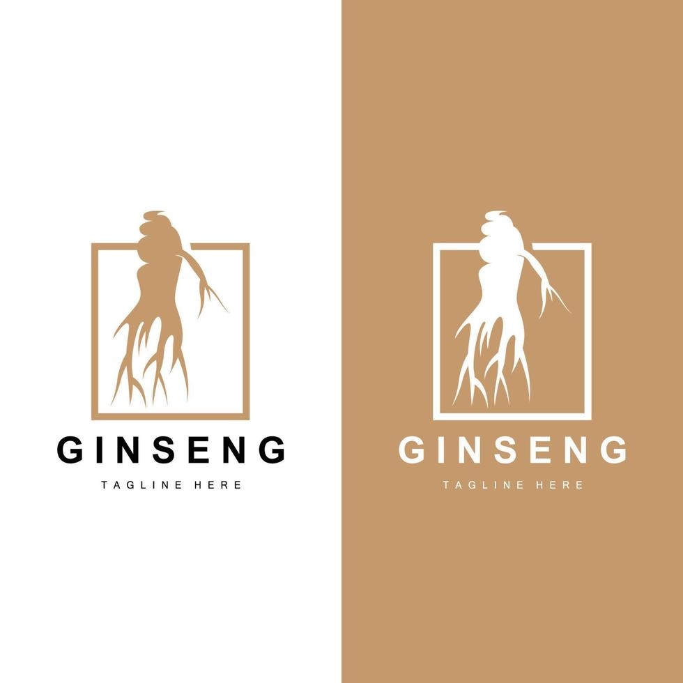 ginseng logotipo, ervas plantar vetor, natural ervas medicamento, ginseng ervas beber ícone vetor