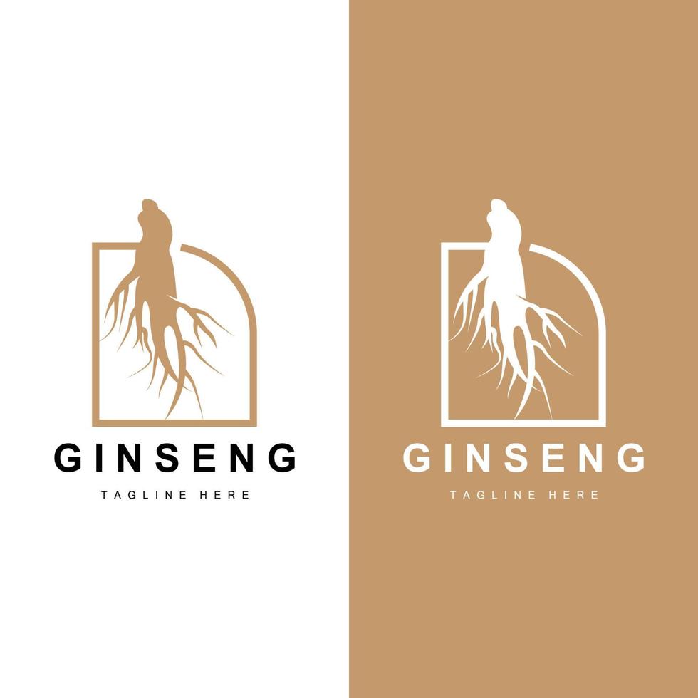 ginseng logotipo, ervas plantar vetor, natural ervas medicamento, ginseng ervas beber ícone vetor