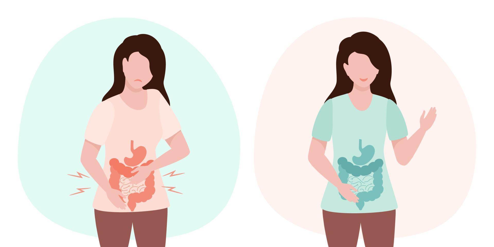 mulher com barriga dor e intestino cura, quão para melhorar seu digestão e manter saudável estômago. digestivo interno órgão.vetor ilustração. interno órgãos Projeto elemento. vetor