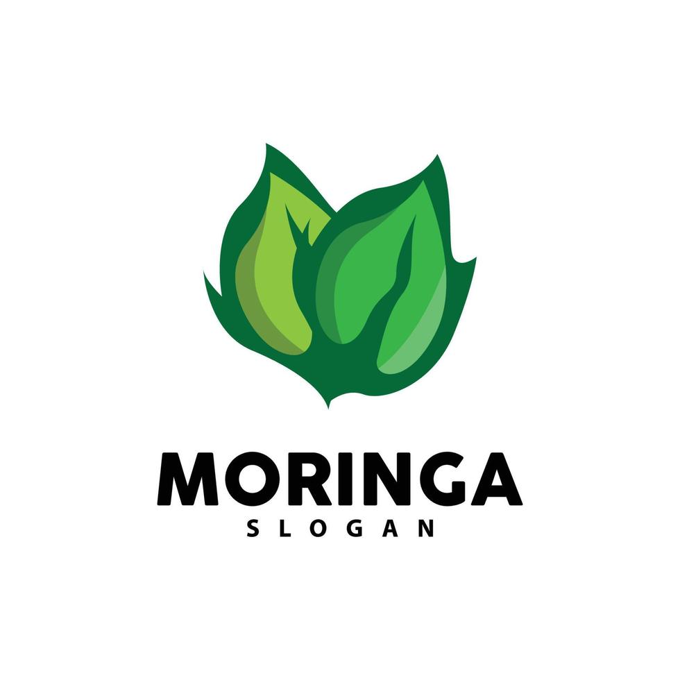 folha logotipo, eco verde plantar vetor, verde terra Cuidado reciclando projeto, moringa folha logotipo ícone modelo ilustração vetor