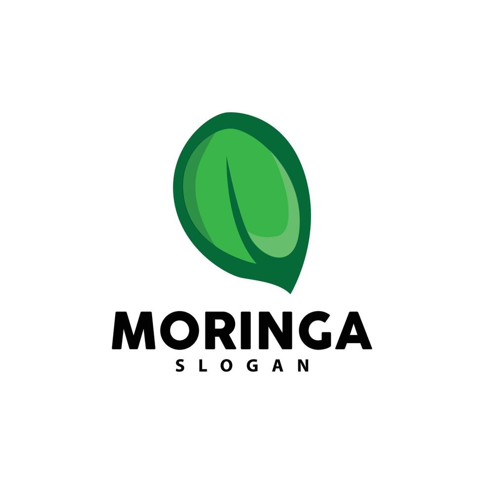 folha logotipo, eco verde plantar vetor, verde terra Cuidado reciclando projeto, moringa folha logotipo ícone modelo ilustração vetor