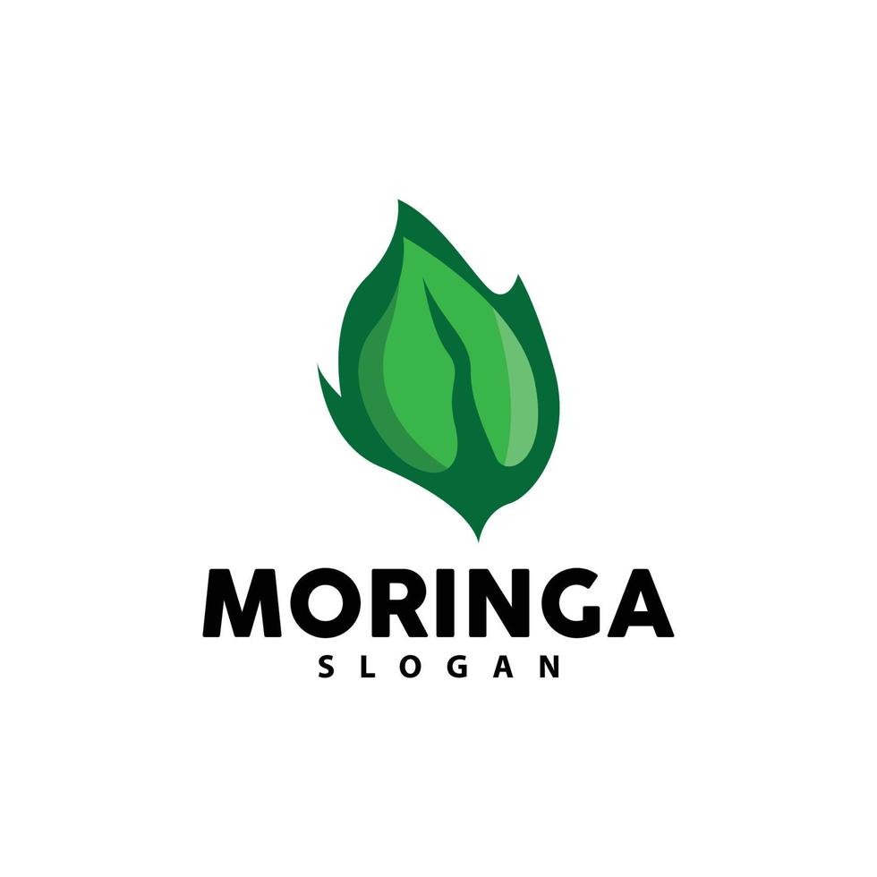 folha logotipo, eco verde plantar vetor, verde terra Cuidado reciclando projeto, moringa folha logotipo ícone modelo ilustração vetor