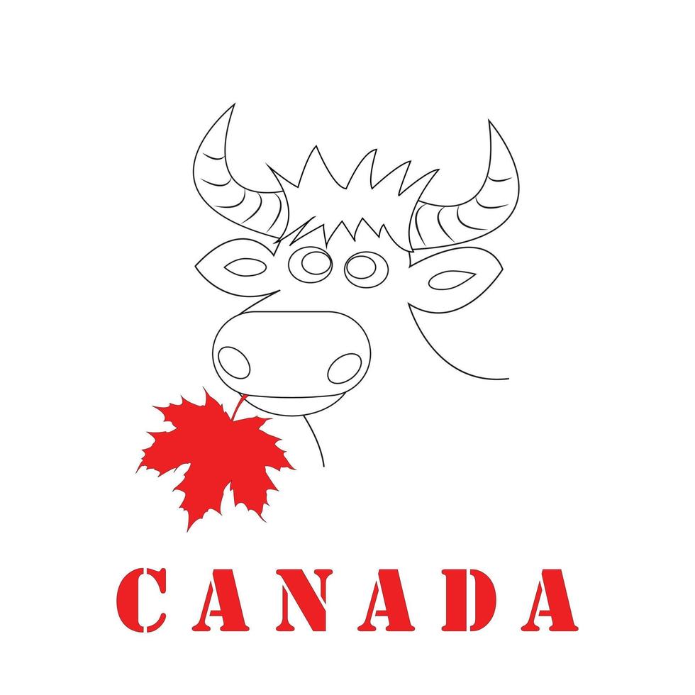 vetor imagem do uma de vaca cabeça com chifres e uma vermelho bordo folha dentro Está boca. inscrição Canadá. plano vetor ilustração.