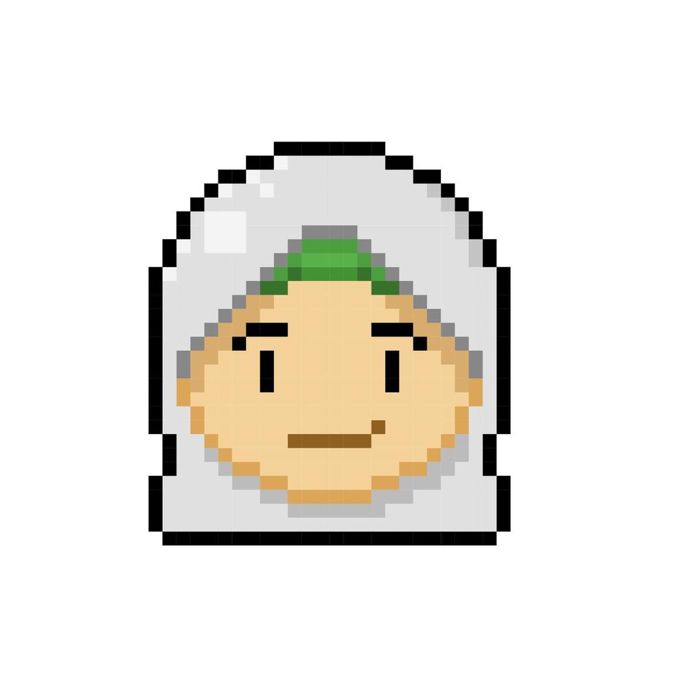 muslimah menina dentro pixel arte estilo vetor