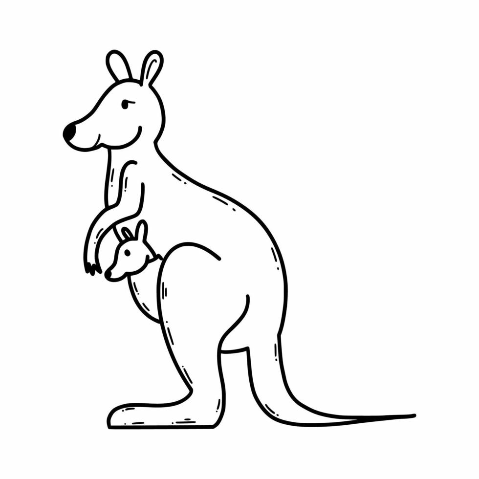 canguru mãe e bebê. animais do Austrália. vetor ilustração do rabiscos. esboço.
