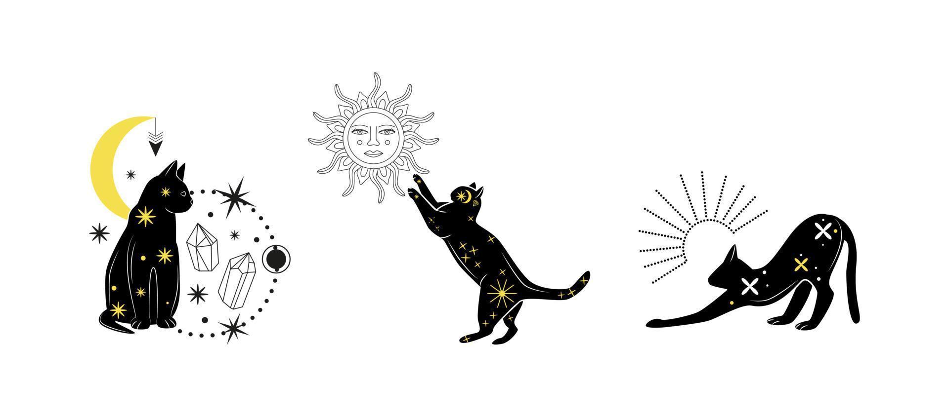 Magia Preto gato. conjunto do místico ilustrações com celestial elementos. estrelas, lua, sol, cristais. adesivo, bandeira, fundo Projeto. dia das Bruxas. Mago bruxa símbolos. vetor