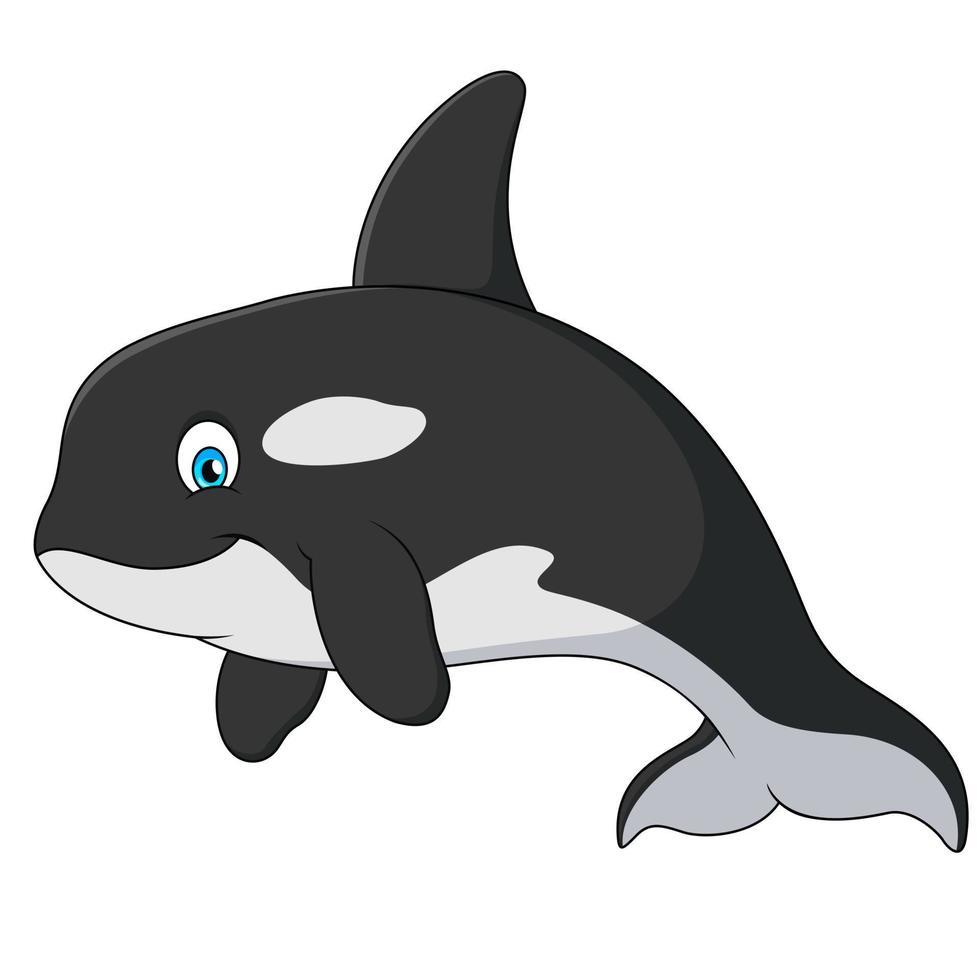 fofa orca desenho animado ilustração. assassino baleia fofa desenho animado vetor