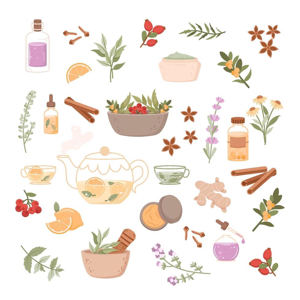 conjunto de ilustração de fitoterapia. ícone plano com desenhos animados de spa de flores para design médico vetor