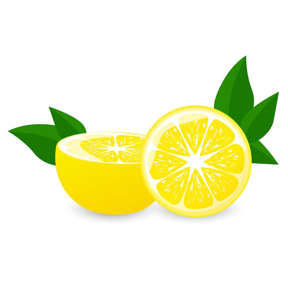 limão com verde folha e limão fatiado.para cartazes, logotipos, rótulos, bandeiras, adesivos, produtos embalagem projeto, etc. vetor ilustração