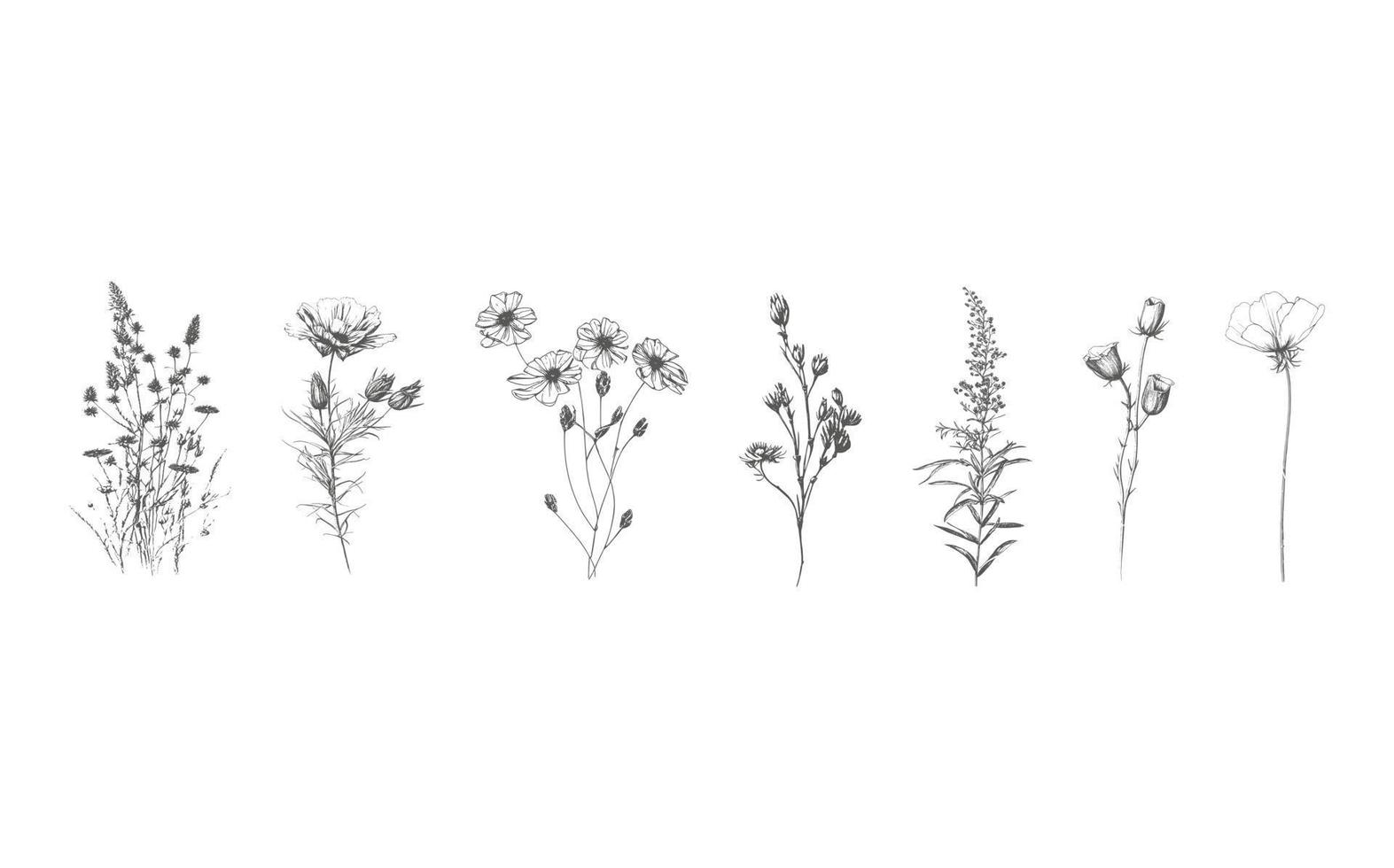 uma conjunto do elegante simples flores silvestres dentro neutro Preto e branco cores. simples e gráfico forma, mão desenhado linha Casamento erva e convite Salve  a encontro cartão. vetor