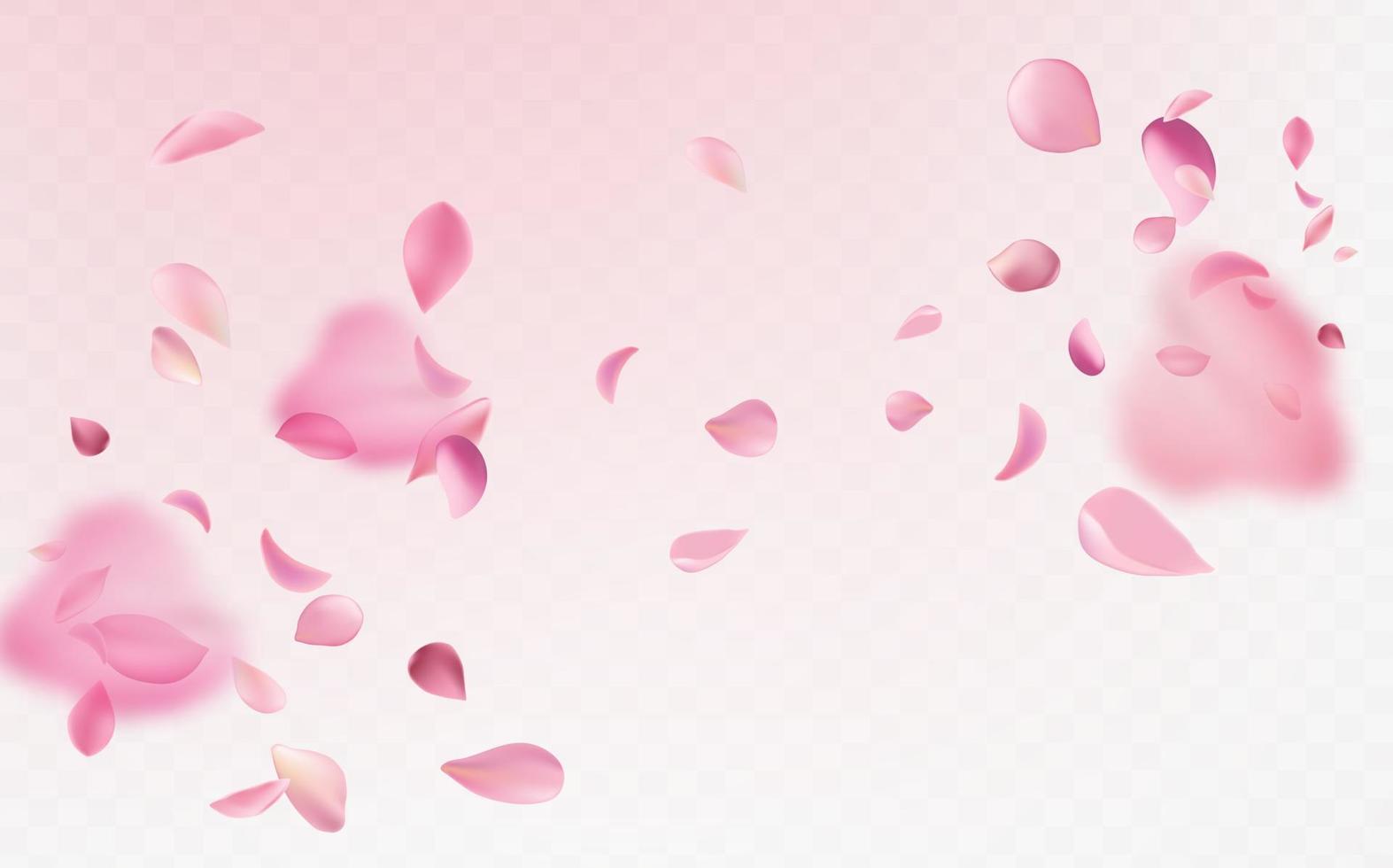 vôo frágil Rosa e branco sakura pétalas. símbolo do japonês cultura. vetor