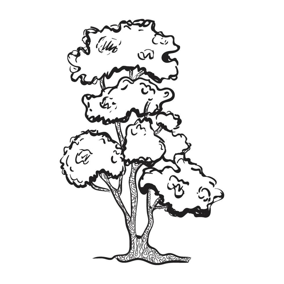 desenho de árvore de bonsai vetor
