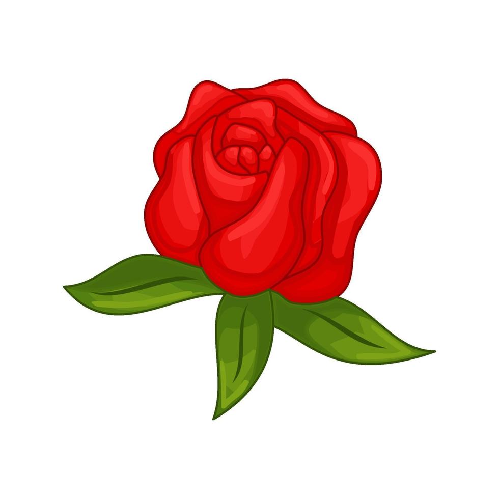 ilustração vetorial floral botânica flor ilustração ornamento rosa vermelha vetor