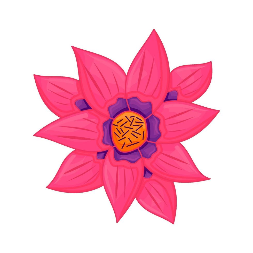 vetor floral botânica flor ilustração cor ornamento rosa