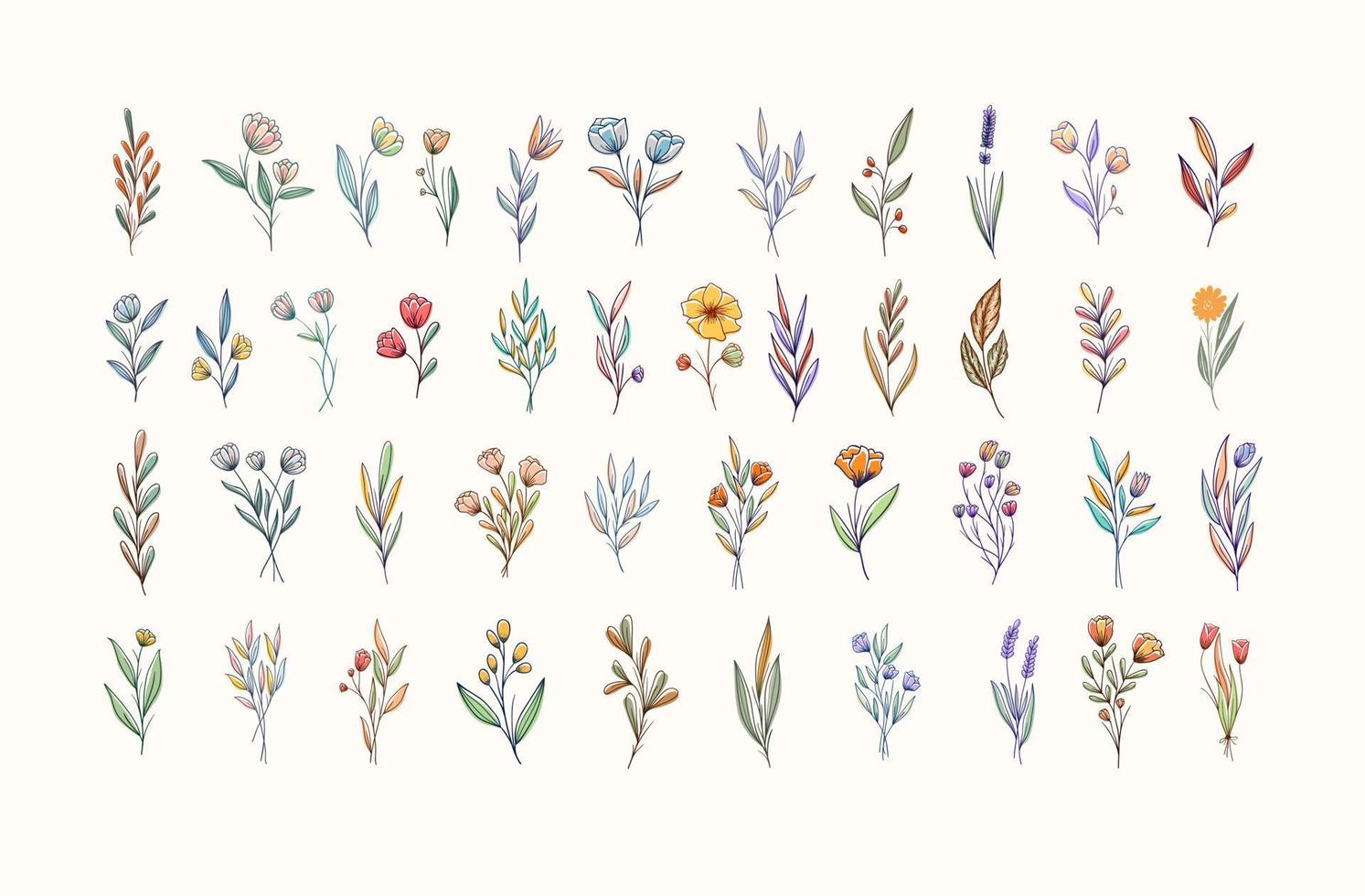lindo mão desenhado colorida botânico flores coleção vetor