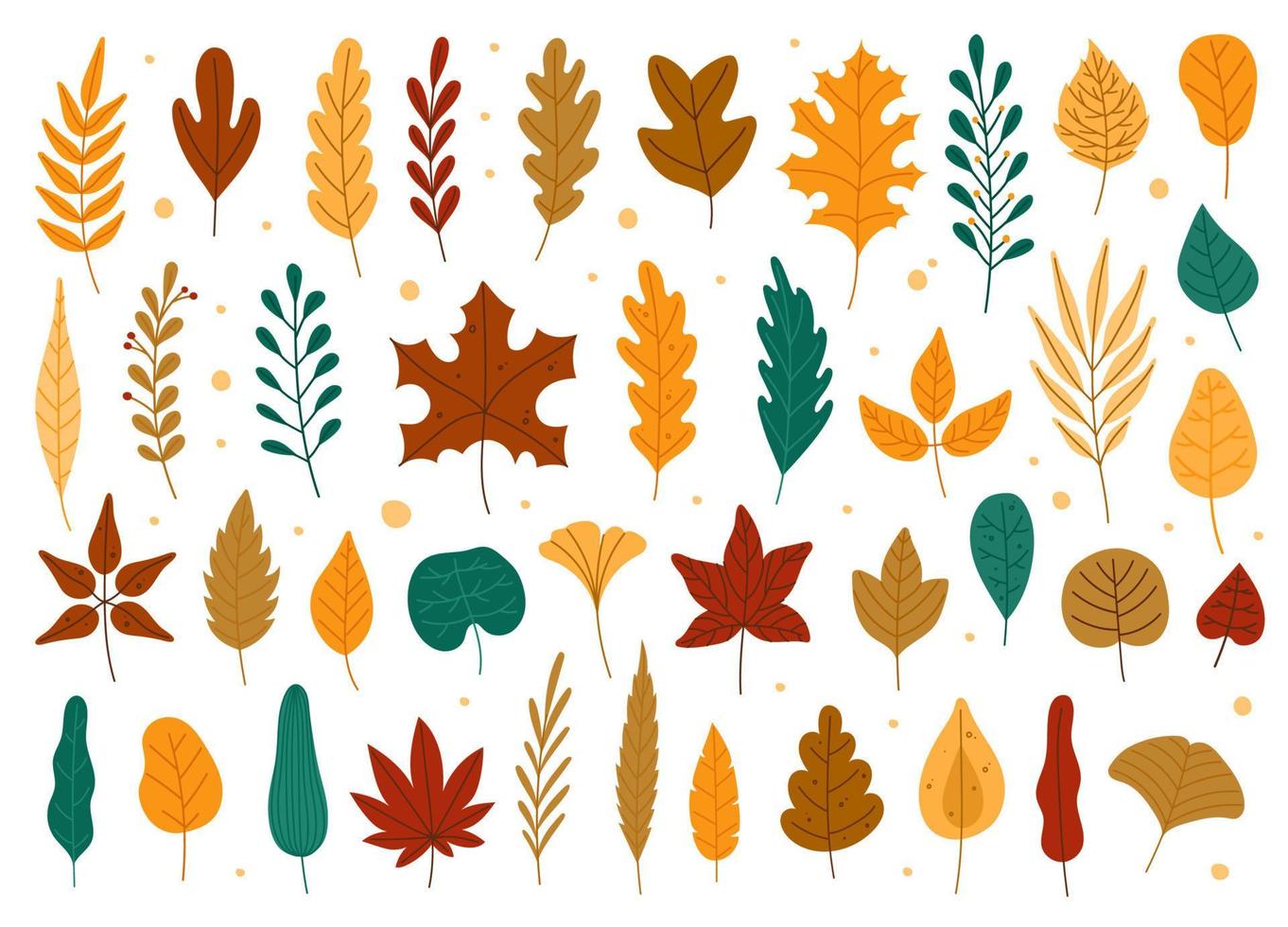 outono folhas. carvalho, bordo, olmo seco caído folha. mão desenhado outono floresta amarelo ou vermelho folhagem. seco plantar folhas, outonal queda folha vetor conjunto