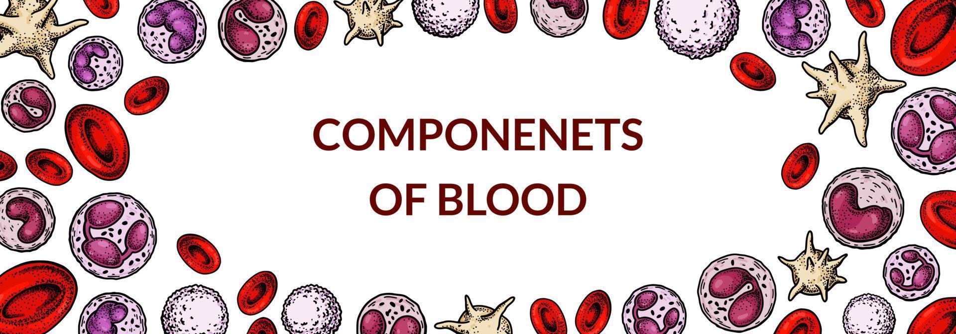 sangue células fundo. Projeto para sangue teste, anemia, doação, hemofilia, laboratório científico pesquisa conceitos. vetor ilustração dentro esboço estilo