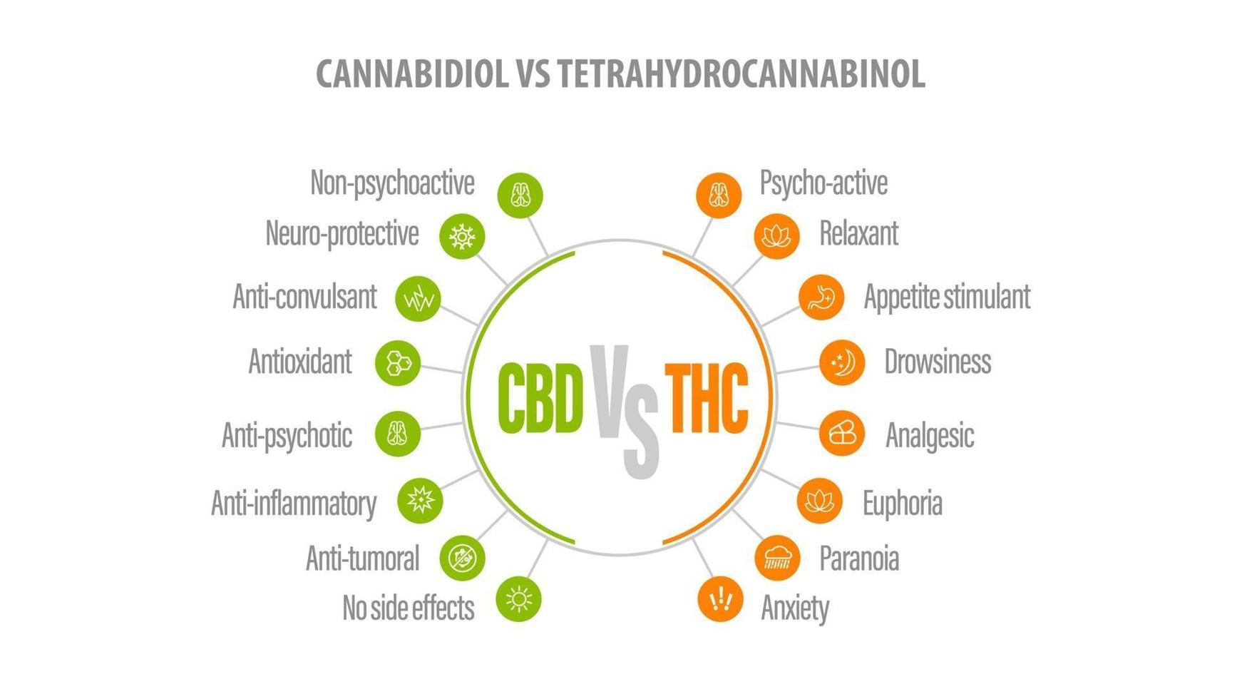 cbd vs thc, lista de diferenças com ícones. bandeira branca com comparação cbd e thc. vetor